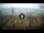 Webcam in Tirrenia, 6.1 km entfernt