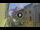 Webcam in Florencia, 0.3 km