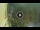 Webcam in Florenz, 0.8 km entfernt