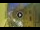 Webcam in Florencia, 0.3 km