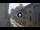 Webcam in Florenz, 0.6 km entfernt