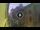 Webcam in Florencia, 0.3 km
