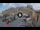 Webcam in Giglio Castello (Ile du Giglio), 47.2 km