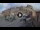 Webcam in Giglio Castello (Isola del Giglio), 47.2 km