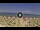 Webcam in Silvi Marina, 18.3 km entfernt