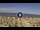 Webcam in Silvi Marina, 10.6 km