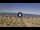 Webcam in Silvi Marina, 9.8 mi away