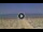 Webcam in Silvi Marina, 1.8 km