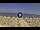 Webcam in Silvi Marina, 4.4 km entfernt