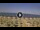 Webcam in Silvi Marina, 32.1 km