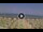 Webcam in Silvi Marina, 29.6 km entfernt