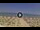 Webcam in Silvi Marina, 46.8 km entfernt