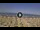 Webcam in Silvi Marina, 18.3 km
