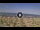 Webcam in Silvi Marina, 20.5 km