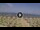 Webcam in Silvi Marina, 9.1 mi away