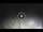 Webcam in Silvi Marina, 9.8 mi away