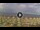 Webcam in Silvi Marina, 0.9 mi away