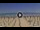 Webcam in Silvi Marina, 8.9 mi away
