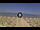 Webcam in Silvi Marina, 17.5 mi away