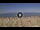 Webcam in Silvi Marina, 8.9 mi away
