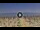Webcam in Silvi Marina, 12.5 km