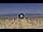 Webcam in Silvi Marina, 12.5 km