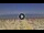 Webcam in Silvi Marina, 12.5 km