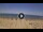 Webcam in Silvi Marina, 2.7 km