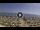 Webcam in Silvi Marina, 40.3 km