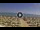 Webcam in Silvi Marina, 29.6 km