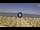 Webcam in Silvi Marina, 12.5 km