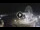 Webcam in Cesenatico, 6 km entfernt