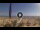 Webcam in Pinarella di Cervia, 4.5 km
