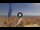 Webcam in Pinarella di Cervia, 0.7 km entfernt