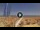 Webcam in Pinarella di Cervia, 5.2 km entfernt