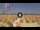 Webcam in Pinarella di Cervia, 8.3 mi away