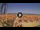 Webcam in Pinarella di Cervia, 0.1 mi away