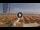 Webcam in Pinarella di Cervia, 5.2 km entfernt