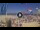 Webcam in Pinarella di Cervia, 0.5 km entfernt