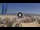 Webcam in Pinarella di Cervia, 10.4 km entfernt