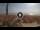 Webcam in Pinarella di Cervia, 4.8 km