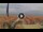 Webcam in Pinarella di Cervia, 10.4 km