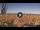 Webcam in Pinarella di Cervia, 2.1 mi away