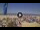 Webcam in Pinarella di Cervia, 1.7 mi away