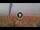 Webcam in Pinarella di Cervia, 0.7 mi away