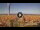 Webcam in Pinarella di Cervia, 1.9 mi away