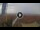 Webcam in Pinarella di Cervia, 0.5 km entfernt