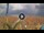 Webcam in Pinarella di Cervia, 1.9 km