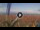 Webcam in Pinarella di Cervia, 12.2 km