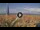 Webcam in Pinarella di Cervia, 7 km